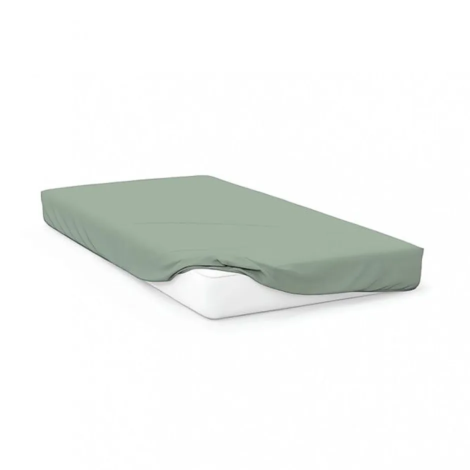 Soleil D'Ocre Drap housse en coton 57 fils 180x200 cm UNI vert d'eau, par
