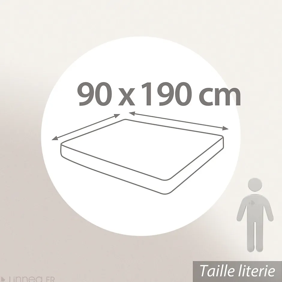 Linnea Drap housse imprimé 90x190 cm coton PERROQUET Salsa Bonnet 40 cm