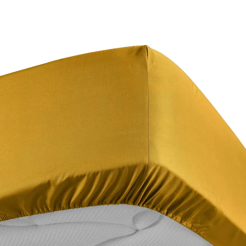 Douceur D'Intérieur Drap Housse Percale Bonnet 30 Cm 200x160cm jaune Clearance