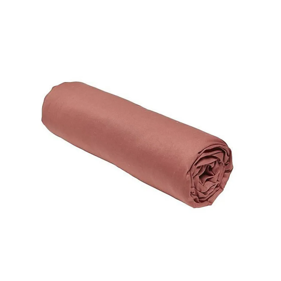 Todays Tools Drap housse TODAY Essential - 160 x 200+30 cm - 2 personnes - 100% Coton uni - Terracotta Discount