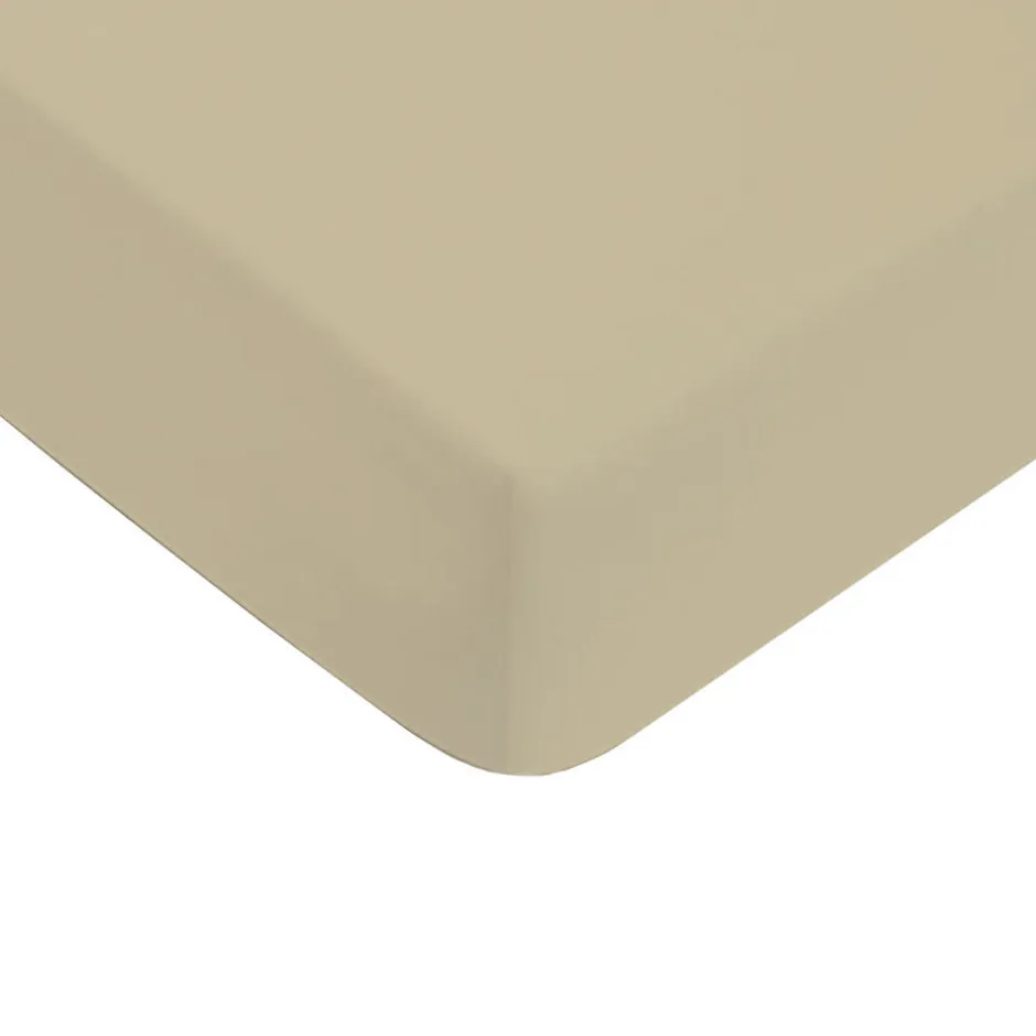 Future Home Drap housse uni en coton 57 fils 180x200cm