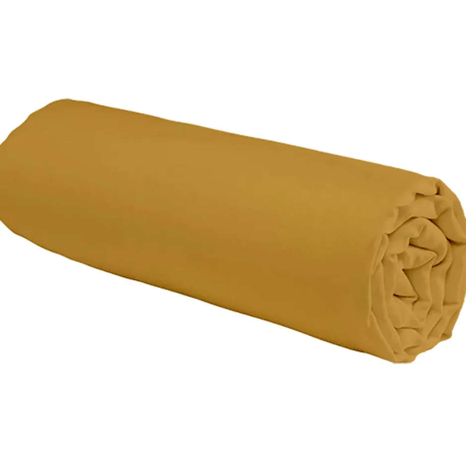 Future Home Drap housse uni en coton 57 fils 90x190cm
