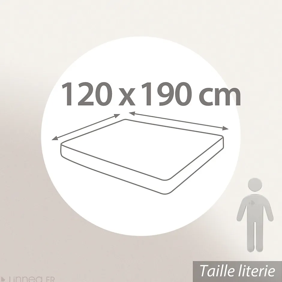 Linnea Drap housse uni 120x190 cm bonnet 35 cm percale de coton MANOIR beige Lin