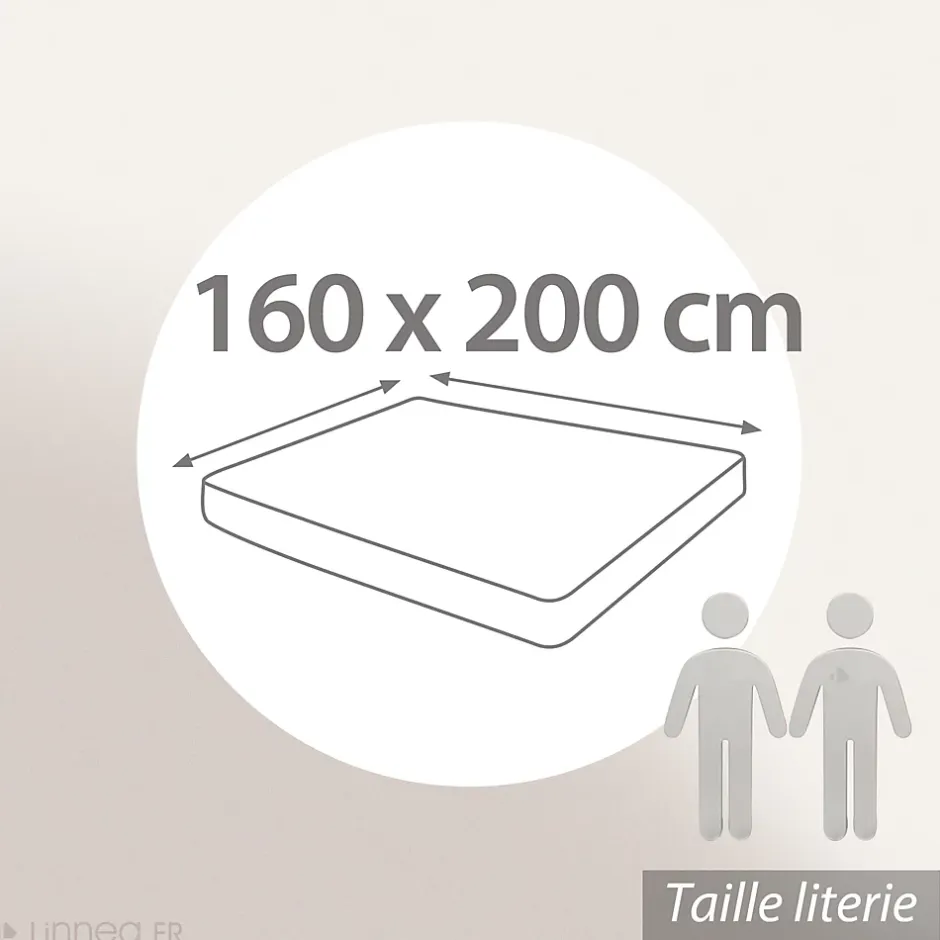 Linnea Drap housse 160x200 cm en 100% polyester microfibre LAGO bleu ciel bonnet 25 cm