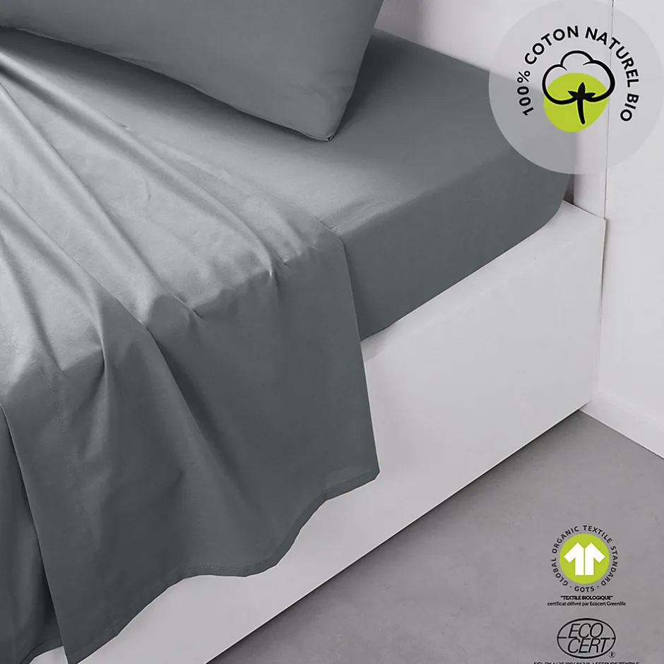 Today Drap plat 57 fils - 100% coton biologique