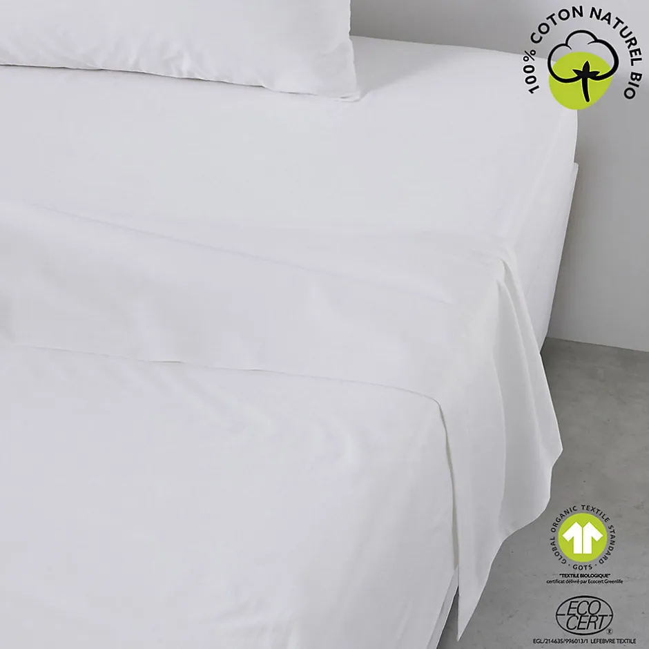 Today Drap plat 57 fils - 100% coton biologique