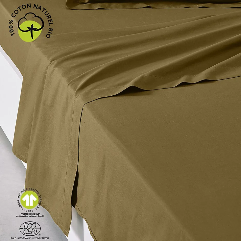 Today Drap plat 57 fils - 100% coton biologique