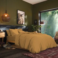 Coton Pur Drap plat Prémium Miel 240 x 300 cm Sale
