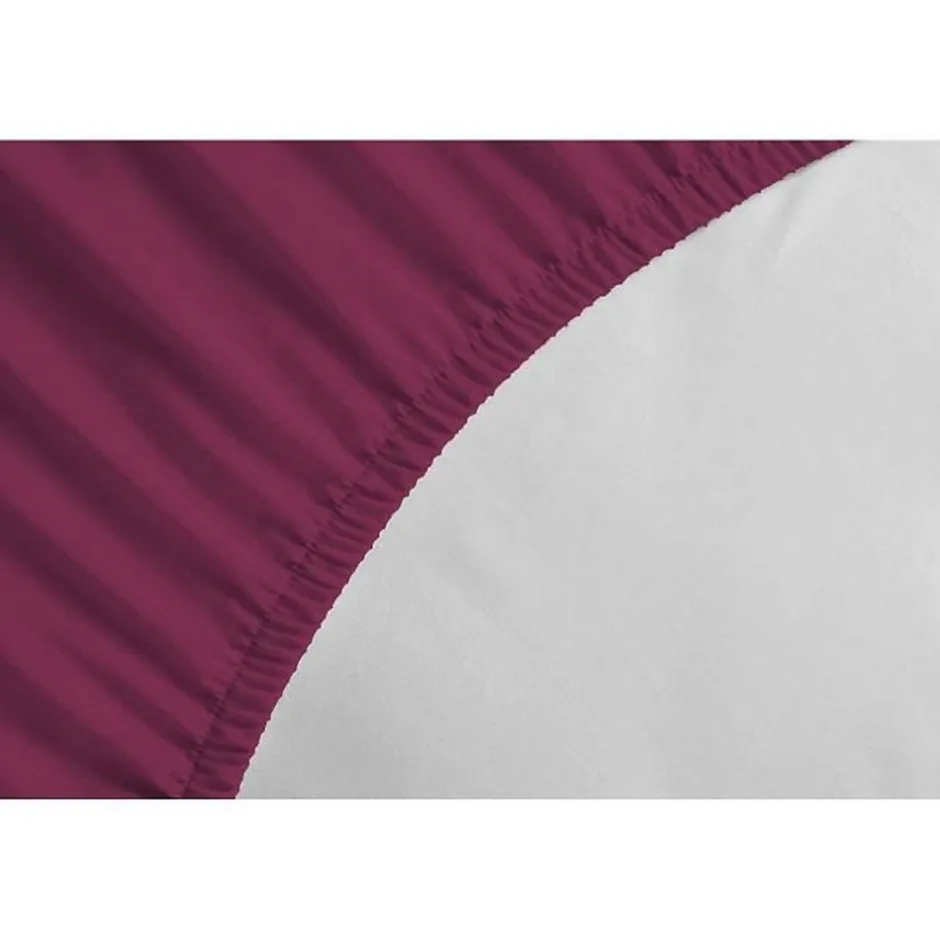 Lovely Home Drap-housse - - LH71617 - 90x190+25 cm - Fuchsia