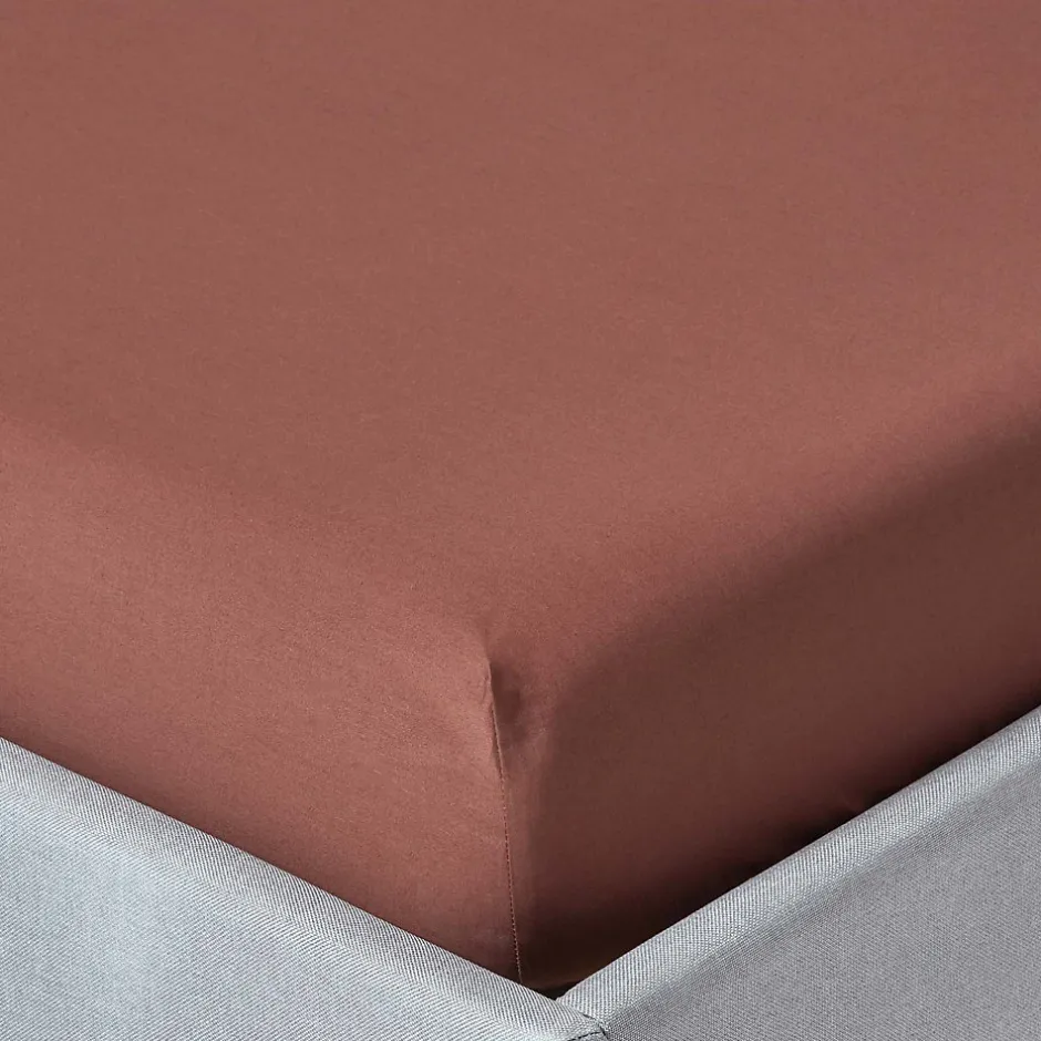 Homescapes Drap-housse chocolat 100% coton égyptien 200 fils 140 x 200 cm -