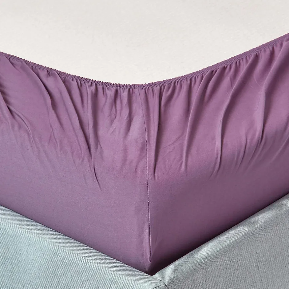 Homescapes Drap-housse raisin 100% coton égyptien 200 fils 90 x 190 cm -