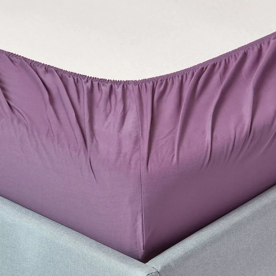 Homescapes Drap-housse raisin 100% coton égyptien 200 fils 120 x 190 cm -