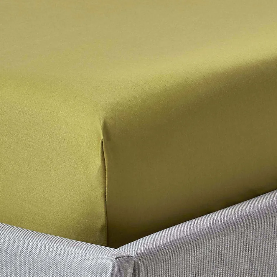 Homescapes Drap-housse uni 180 x 200 cm 100 % coton égyptien 1000 fils coloris vert olive - Outlet