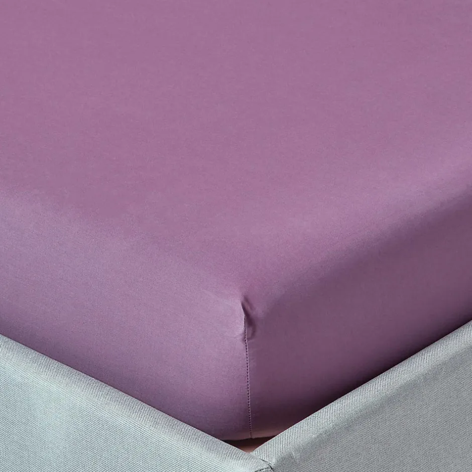 Homescapes Drap-housse uni 90 x 190 cm 100 % coton égyptien 200 fils coloris raisin -