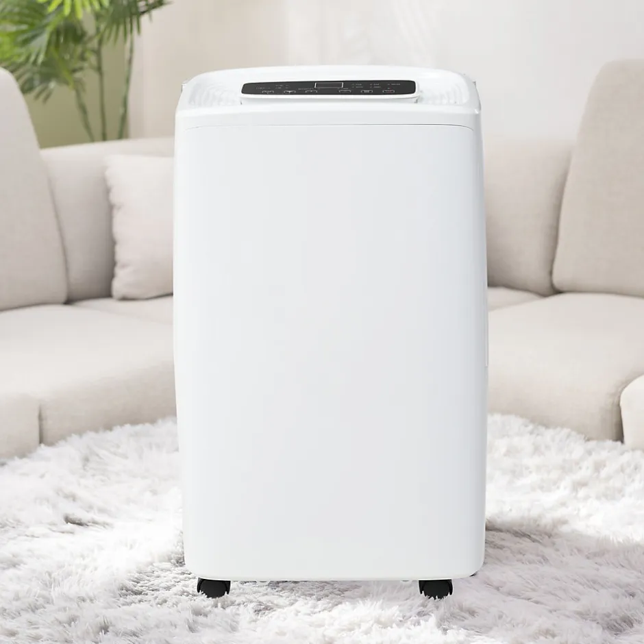 ProximaX Déshumidificateur 12 L/jour pour 15 m², 3 en 1, Purificateur d'air et Sèche-linge, Réservoir 1,5 L, Timer 24 h, Écran LED
