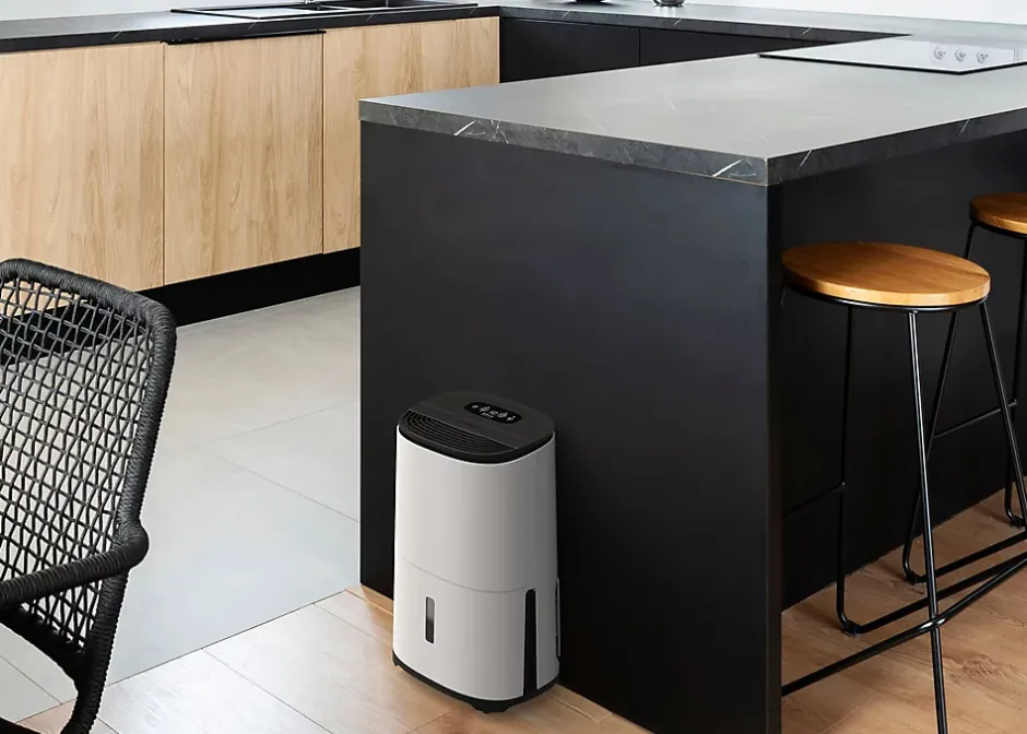 Meaco Déshumidificateur & Purificateur Dry Arete One 10L. Silencieux, basse conso. Élimine humidité & purifie l'air. Best