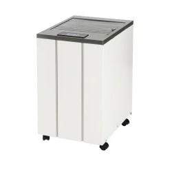Wood's Déshumidificateur LD40 13L/J blanc