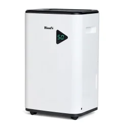 Wood's Déshumidificateur MDX20P 20L/J Online