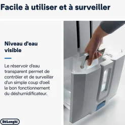 Delonghi Déshumidificateur DD233P 30L/J 60m²