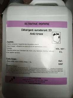 Le Plus De L'Entretien Détergent surodorant 2D Anti-trace - POMME 5L