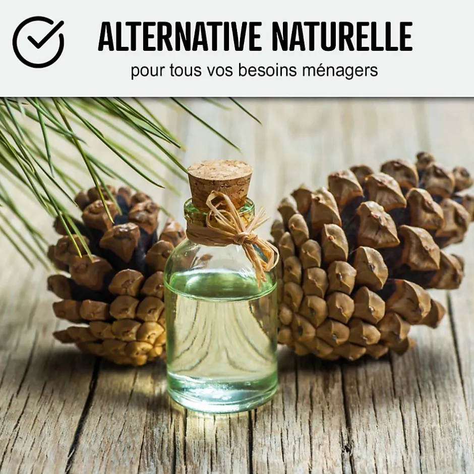 Arcane Industries Essence de térébenthine pure gemme bois : TEREBENTHINE 101 - 5 L -