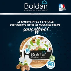 Boldair Gel destructeur d'odeurs karité Monoï Pot 300g Sale
