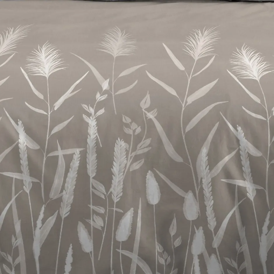 STOF Housse de couette 260x240 PAMPA + 2 taies coton 57 fils Best