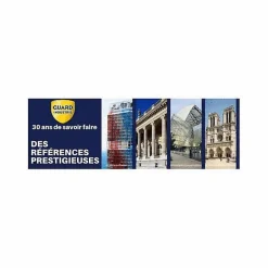 Guard Industrie Imperméabilisant Tissu et Cuir Antitache TEXGUARD 2 Aérosols Velours Hydrofuge Incolore et Invisible Canapé Tapis Rideau Moquette
