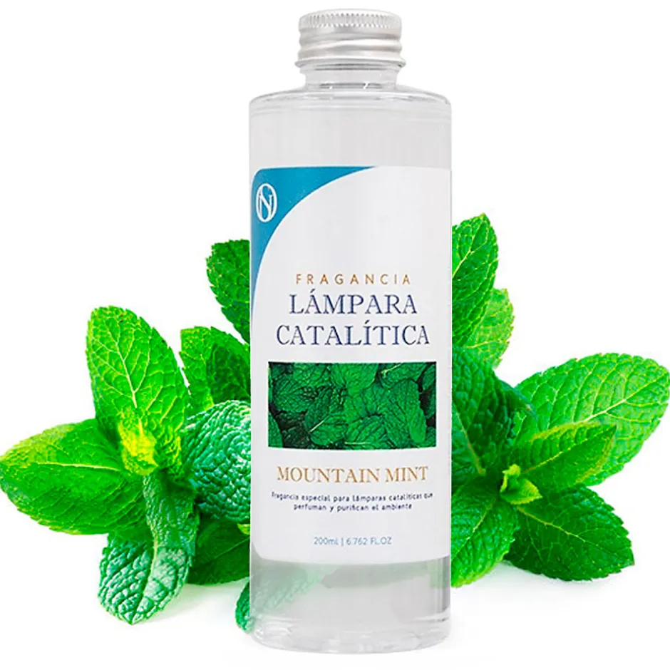 Mamamanuela Lampe catalytique Bleu-Gris Mat + Arôme Mountain Mint 500 ml - Élimine mauvaises odeurs, parfume et améliore la qualité de l'air