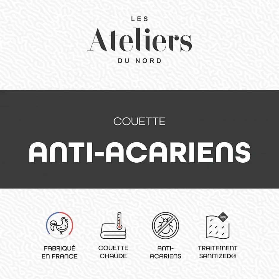 Ateliers Du Nord Les - Couette Chaude Anti-acariens 200x200cm