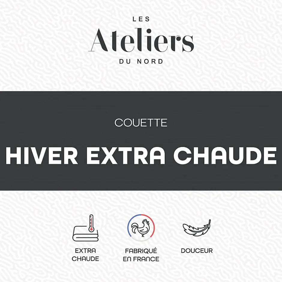 Ateliers Du Nord Les - Couette Hiver - Extra Chaude 200x200cm