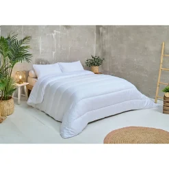 Ateliers Du Nord Les - Lot de 2 oreillers moelleux Anti-acariens 60x60cm