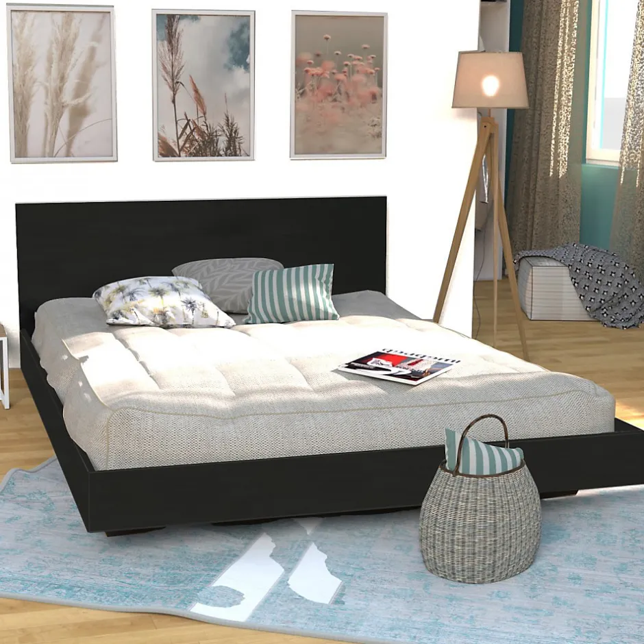 Bb Loisir Lit 2 places 160x200cm Noir LIFA inclus sommier et tête de lit