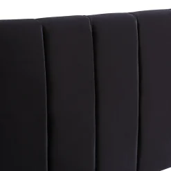 Generique Lit avec Rangements 160x200, Lit Double Capitonné en Velours Noir avec 2 Tiroirs