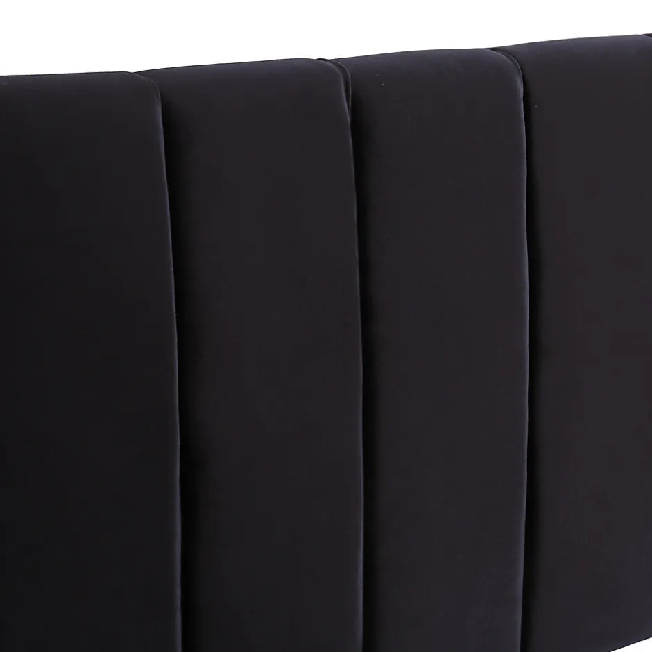 Generique Lit avec Rangements 160x200, Lit Double Capitonné en Velours Noir avec 2 Tiroirs