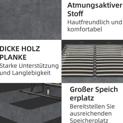 Okwish Lit Coffre Double 160x200 cm - Moderne en Velours Hollandais avec Vérin Hydraulique, Sans Tête de Lit - Gris - Sans Matelas Outlet