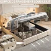 ProximaX Lit coffre 160x200 avec 2 tiroirs, Lit rembourré avec sommier à lattes, tissu en velours et décoration de boutons, beige Online