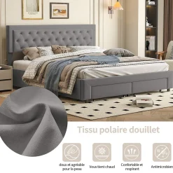 Generique Lit coffre 160x200 avec 2 tiroirs, Lit rembourré avec sommier à lattes, tissu en velours et décoration de boutons, gris