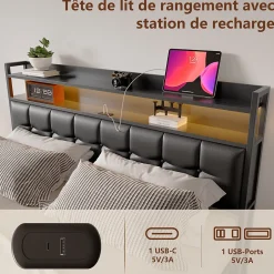 Fortuna lai Lit Coffre 160x200 avec Rangement et éclairage LED, Lit 160x200 avec Sommier à Lattes,USB et Type-C,PU, Noir