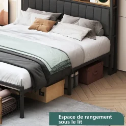 ProximaX Lit Coffre 160x200 cm avec sommier à lattes, LED, 2 tiroirs, tête de lit capitonnée en PU, cadre métallique robuste