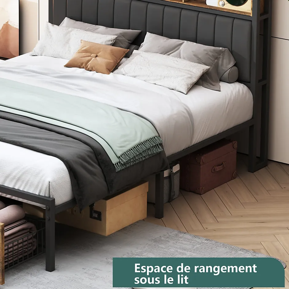 ProximaX Lit Coffre 160x200 cm avec sommier à lattes, LED, 2 tiroirs, tête de lit capitonnée en PU, cadre métallique robuste