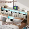 Simple Life Lit coffre 160x200 cm en tissu velours gris avec tête de lit rembourrée, LED intégrées, rangement pratique, prise USB Outlet