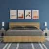 Ityhome Lit double coffre avec relevage 160x200 cm, tête de lit inclinée avec lattes en chêne Ankel Online