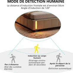 ProximaX Lit double en velours beige 160x200cm avec rangement hydraulique et lampe sensorielle au pied, confort moderne et lumineux