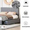 ProximaX Lit double gris 160 x 200 cm, velours, cadre de lit avec 4 tiroirs, sans matelas