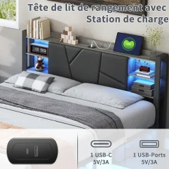 Fortuna lai Lit Double Rembourré 160 X 200 Cm Avec Éclairage LED, Port USB Et Rangements, Cadre De Lit En Métal