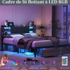 Fortuna lai Lit Double Rembourré 160 X 200 Cm Avec Éclairage LED, Port USB Et Rangements, Cadre De Lit En Métal