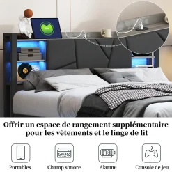 Fortuna lai Lit Double Rembourré 160 X 200 Cm Avec Éclairage LED, Port USB Et Rangements, Cadre De Lit En Métal
