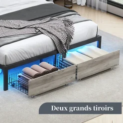 Fortuna lai Lit Double Rembourré 160 X 200 Cm Avec Éclairage LED, Port USB Et Rangements, Cadre De Lit En Métal