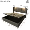 Simple Life Lit 140x200 cm avec coffre lumiere de lecture ports USB cadre PU avec sommier sans matelas New